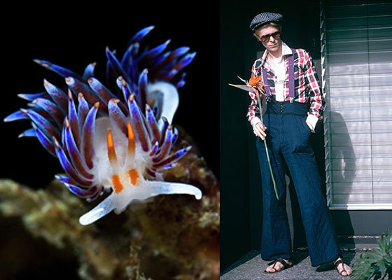 The ever-present orange accessory.
Nudi photo by Belive...